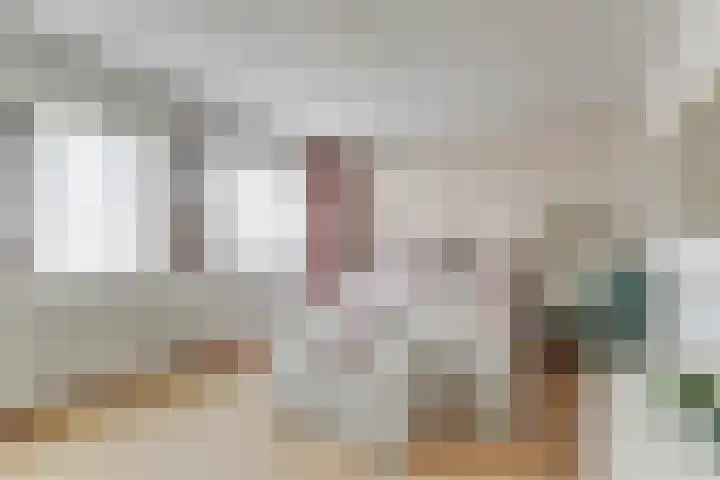 Prof. Rommehoek 20 Oosterhout thumbnail 18