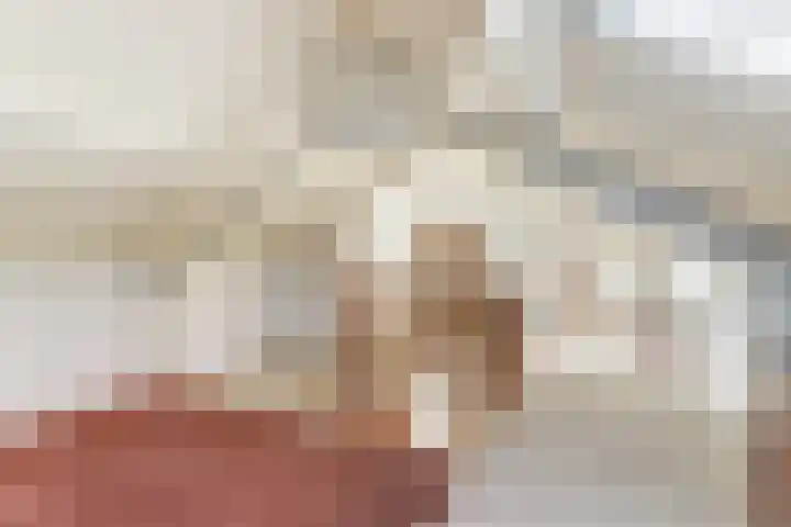 Prof. Rommehoek 20 Oosterhout thumbnail 26