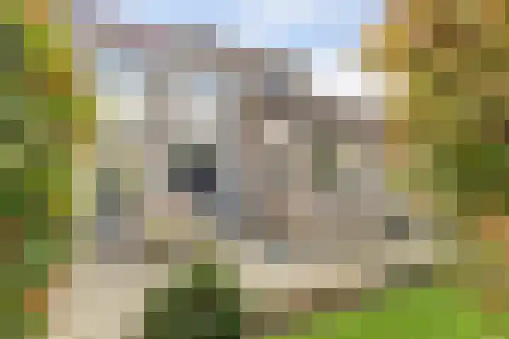 Prof. Rommehoek 20 Oosterhout thumbnail 28