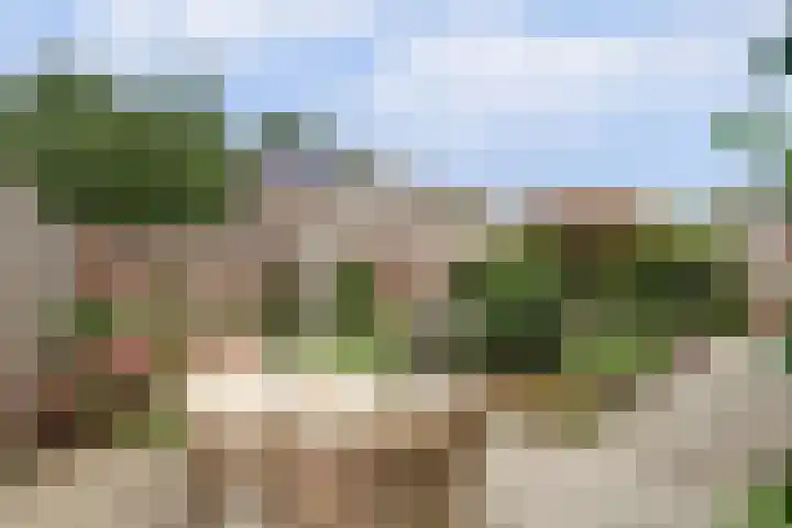 Prof. Rommehoek 20 Oosterhout thumbnail 29