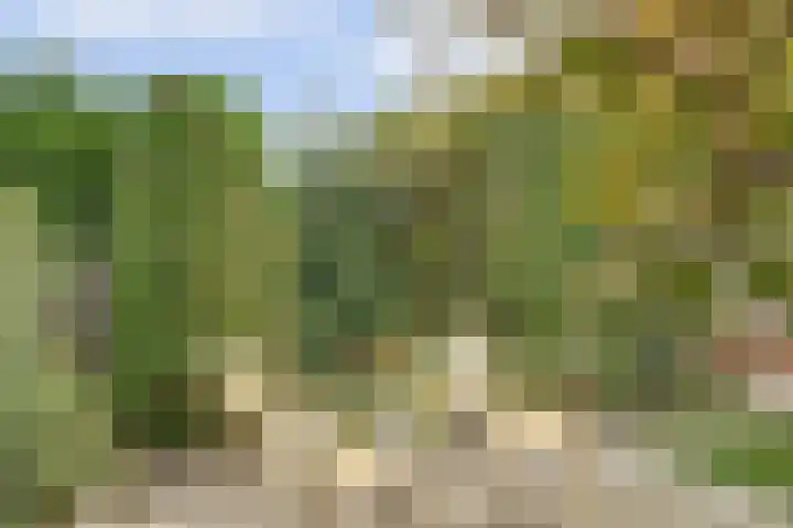 Prof. Rommehoek 20 Oosterhout thumbnail 30