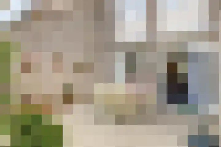 Prof. Rommehoek 20 Oosterhout thumbnail 31