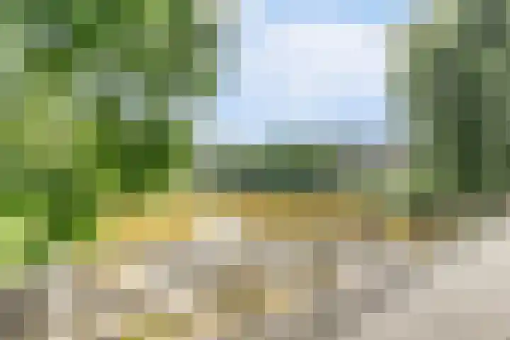 Prof. Rommehoek 20 Oosterhout thumbnail 33
