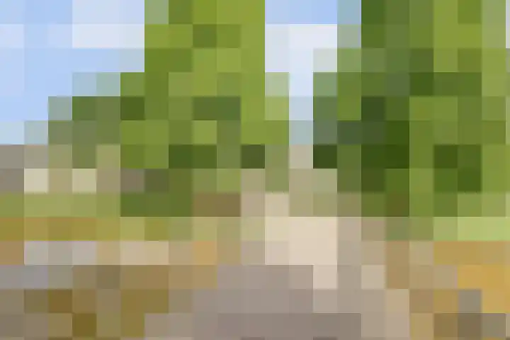 Prof. Rommehoek 20 Oosterhout thumbnail 34