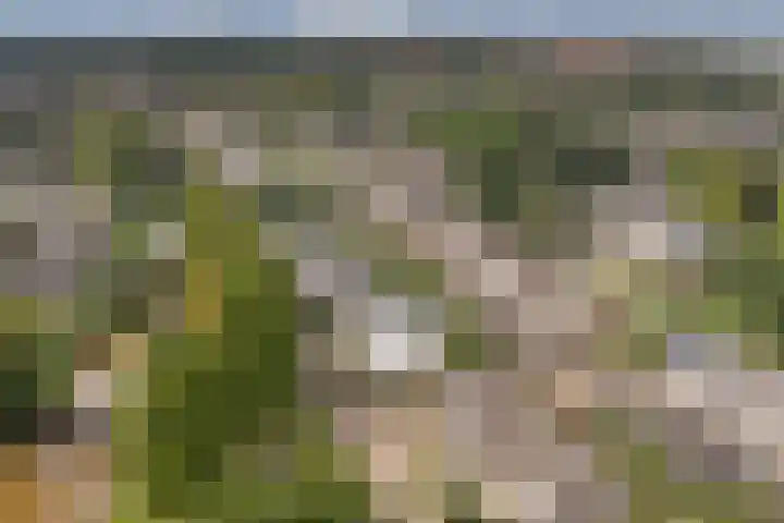 Prof. Rommehoek 20 Oosterhout thumbnail 35