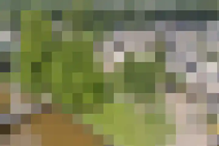 Prof. Rommehoek 20 Oosterhout thumbnail 36