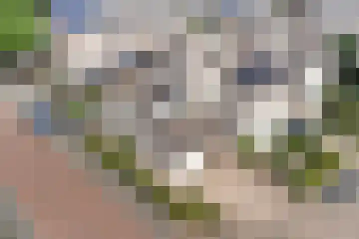 Prof. Rommehoek 20 Oosterhout thumbnail 37