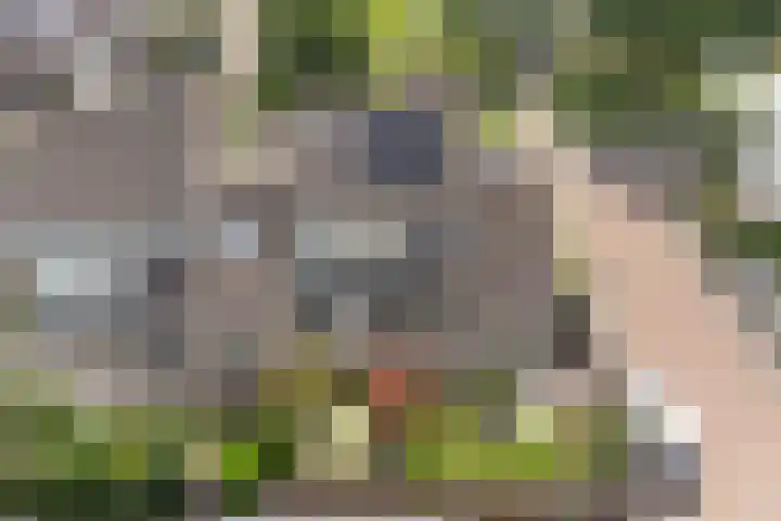 Prof. Rommehoek 20 Oosterhout thumbnail 38