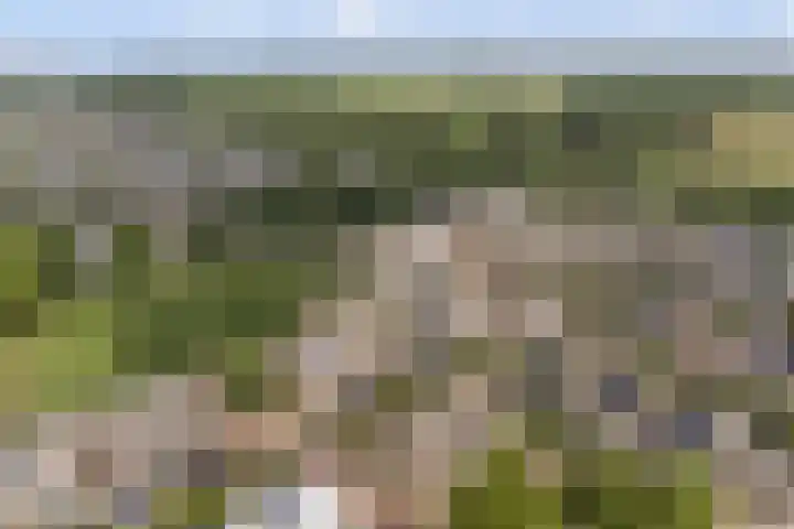 Prof. Rommehoek 20 Oosterhout thumbnail 39