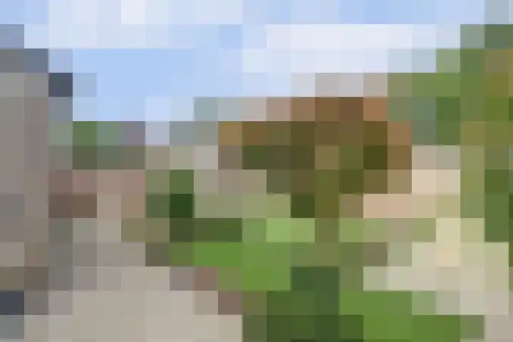 Prof. Rommehoek 20 Oosterhout thumbnail 4