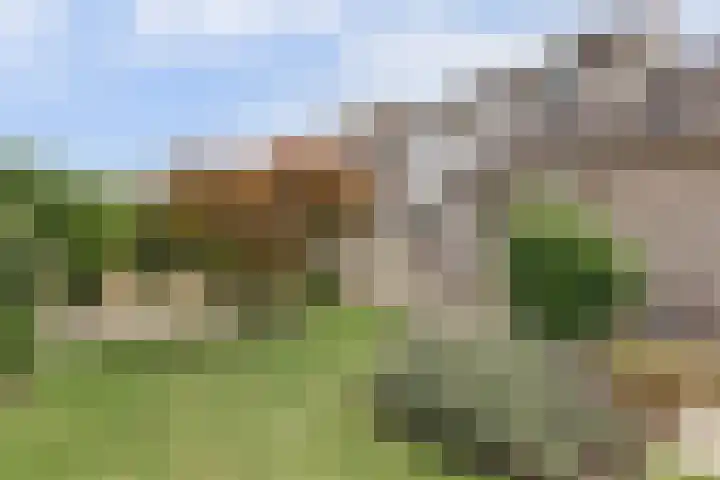 Prof. Rommehoek 20 Oosterhout thumbnail 5