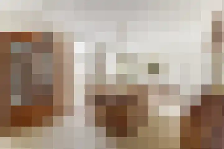 Prof. Rommehoek 20 Oosterhout thumbnail 6