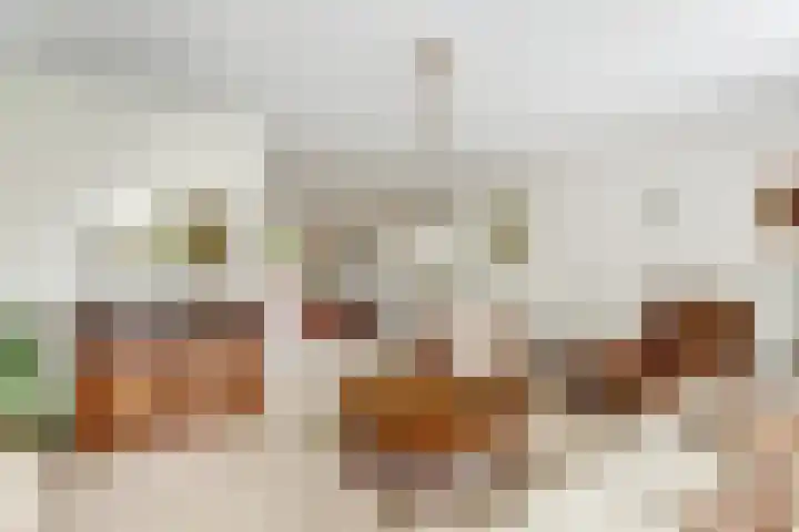 Prof. Rommehoek 20 Oosterhout thumbnail 8