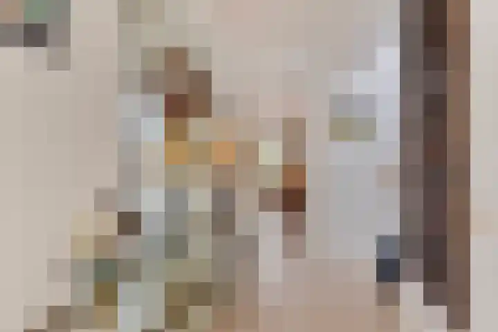 Prof. Rommelaan 2 Helmond thumbnail 11
