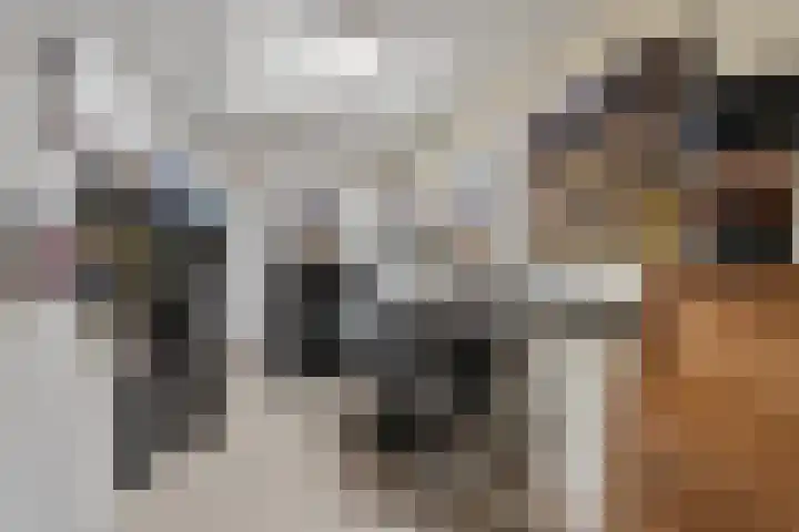 Prof. Rommelaan 2 Helmond thumbnail 18
