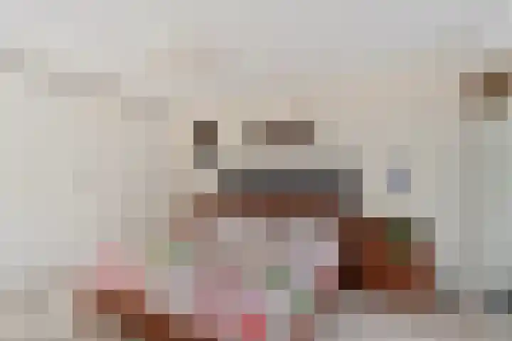 Prof. Rommelaan 2 Helmond thumbnail 22