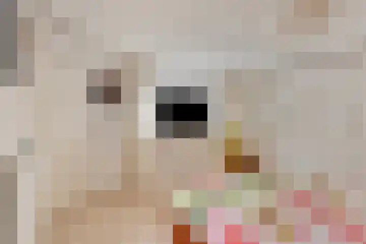 Prof. Rommelaan 2 Helmond thumbnail 24