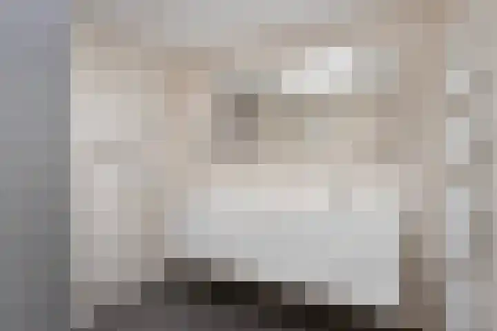 Prof. Rommelaan 2 Helmond thumbnail 26