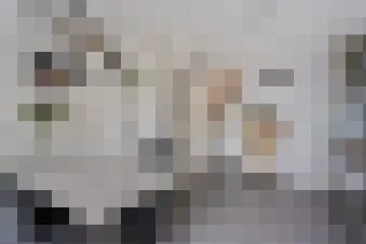 Prof. Rommelaan 2 Helmond thumbnail 28