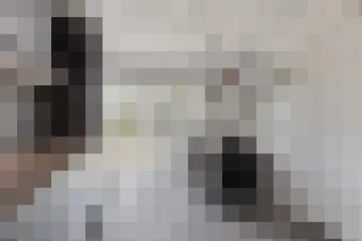 Prof. Rommelaan 2 Helmond thumbnail 29