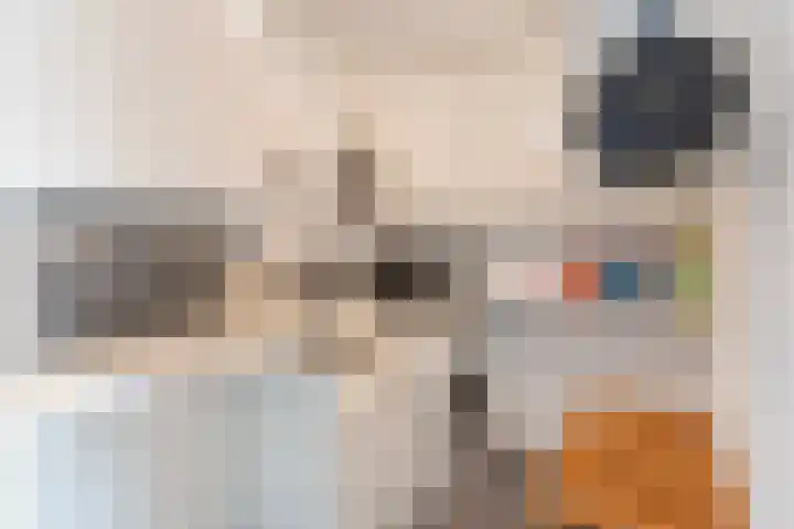 Prof. Rommelaan 2 Helmond thumbnail 31