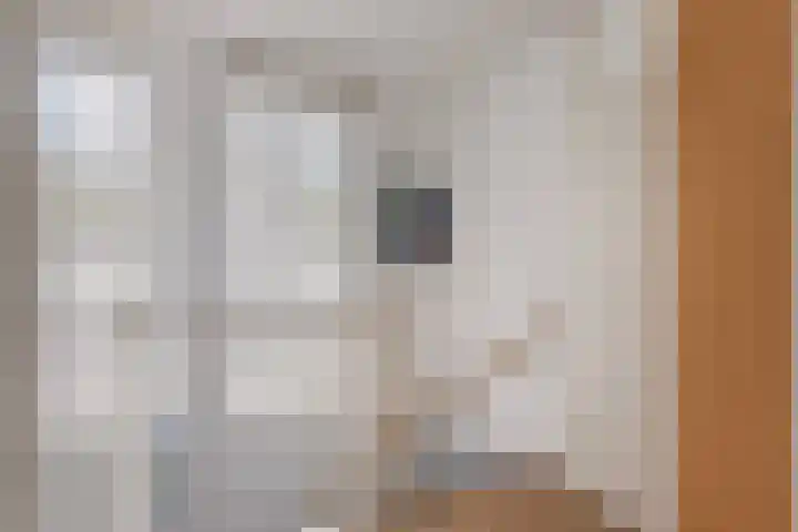 Prof. Rommelaan 2 Helmond thumbnail 32