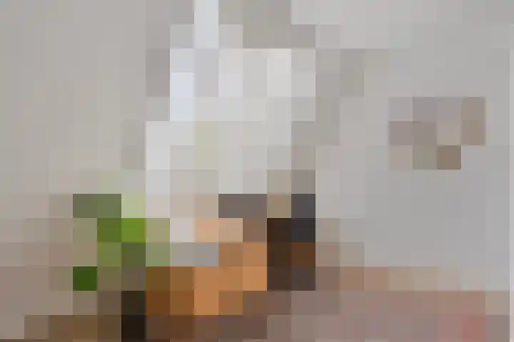 Prof. Rommelaan 2 Helmond thumbnail 34