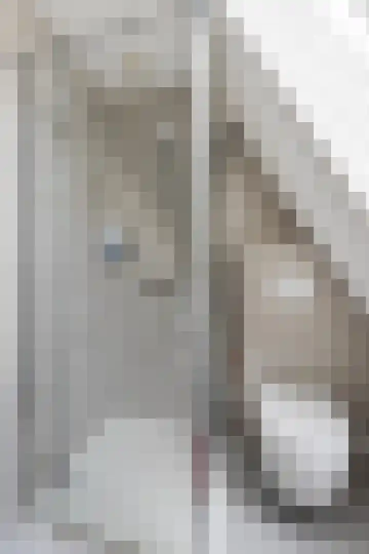 Prof. Rommelaan 2 Helmond thumbnail 37