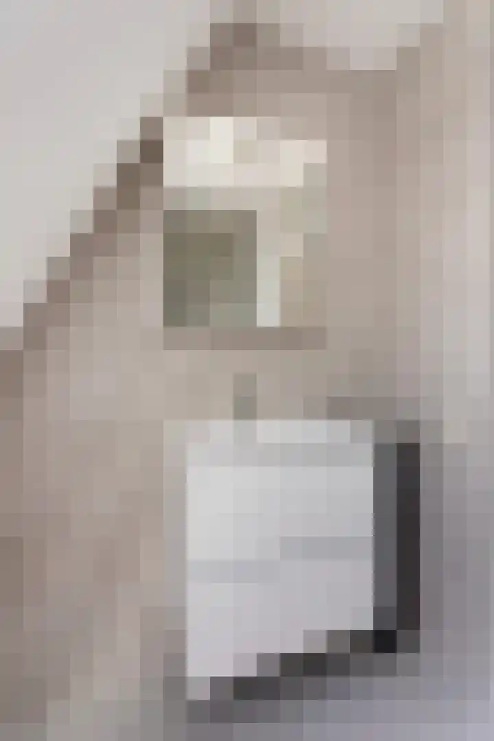 Prof. Rommelaan 2 Helmond thumbnail 38