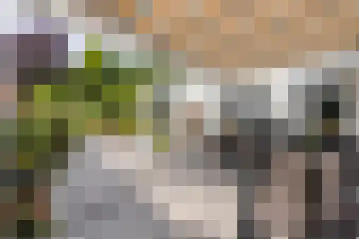 Prof. Rommelaan 2 Helmond thumbnail 39