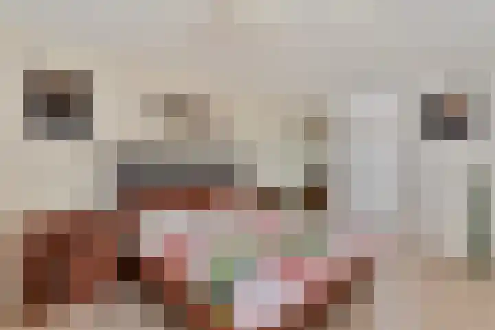 Prof. Rommelaan 2 Helmond thumbnail 4
