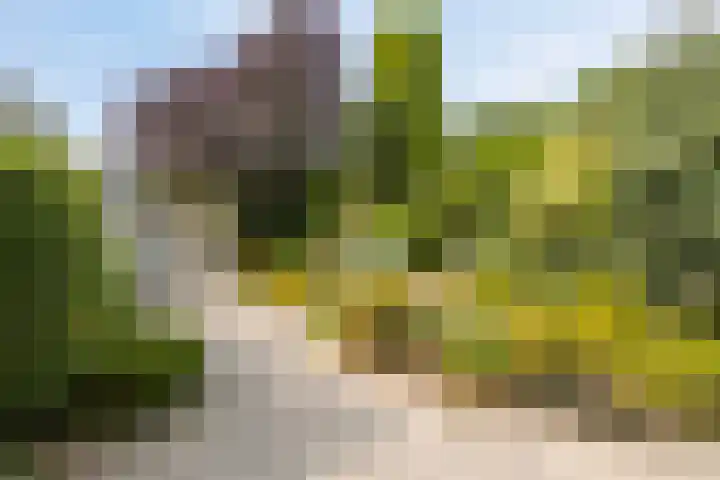 Prof. Rommelaan 2 Helmond thumbnail 41