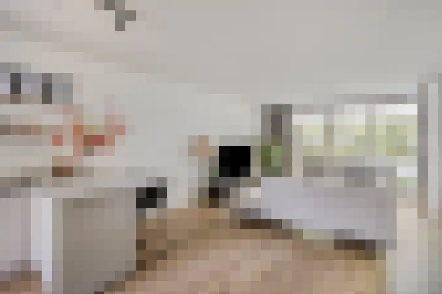 Prof. Rommelaan 22 Helmond thumbnail 17