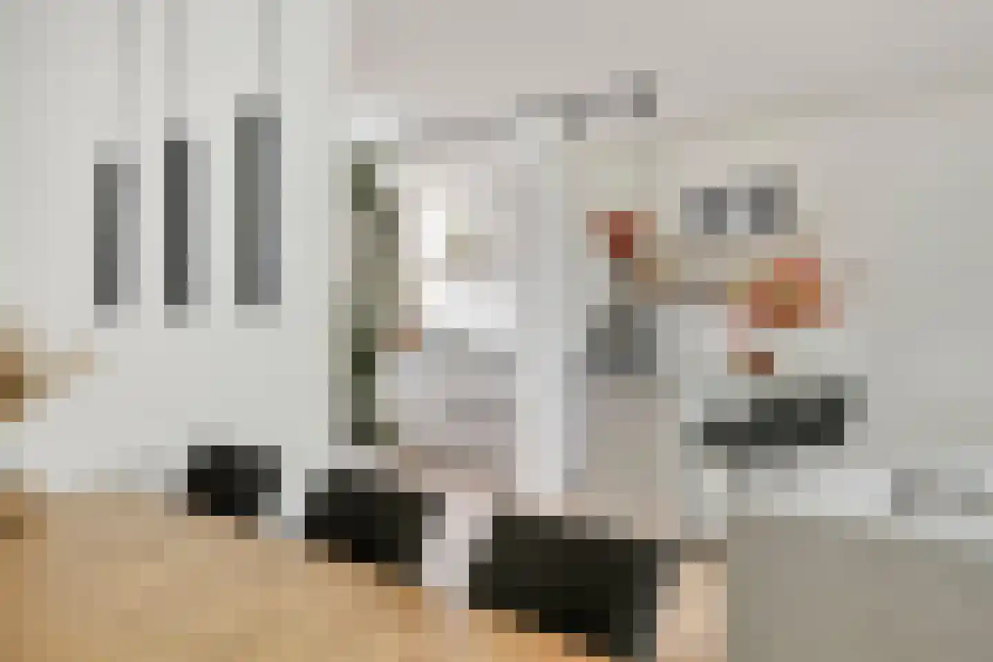 Prof. Rommelaan 22 Helmond thumbnail 24