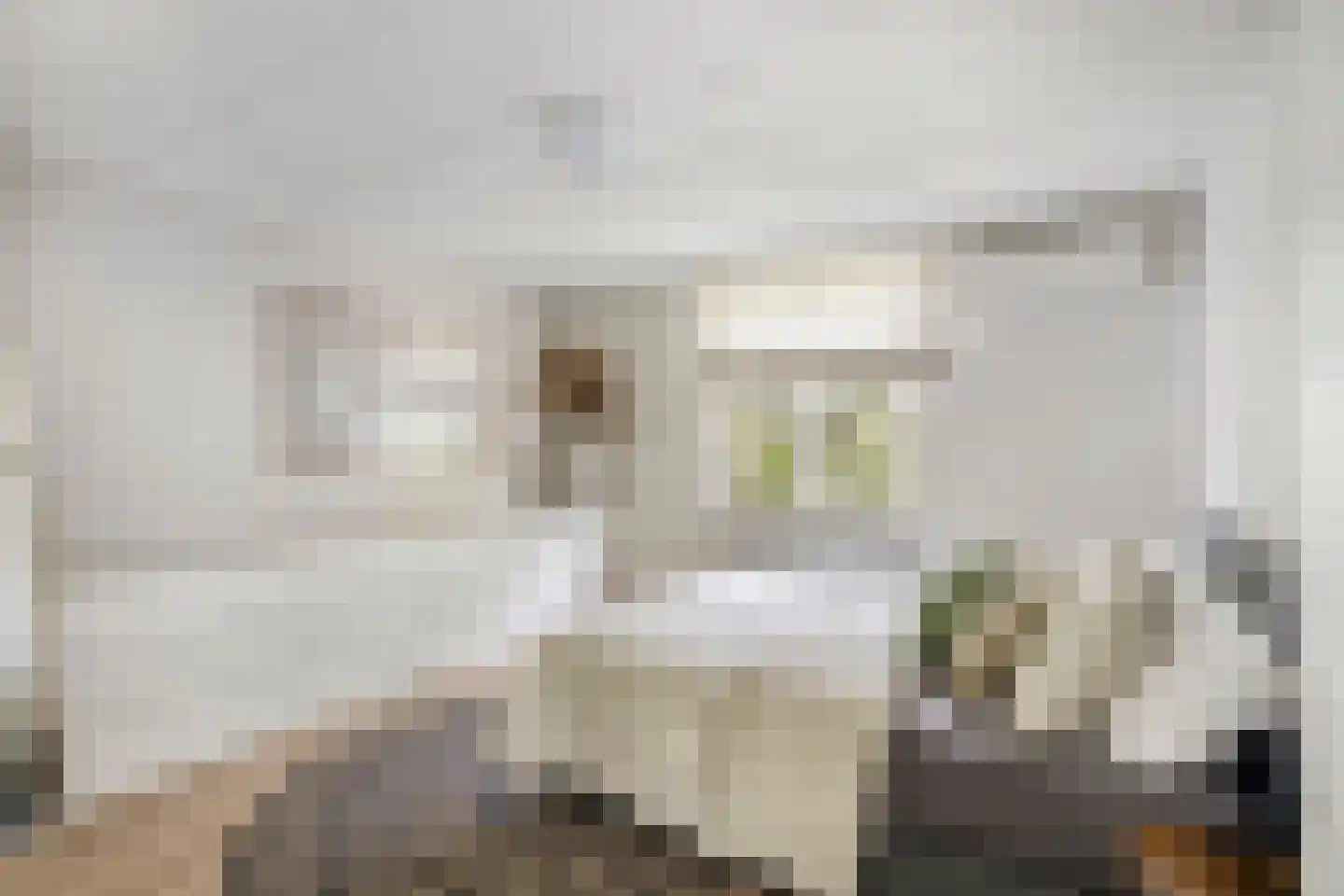 Prof. Rommelaan 22 Helmond thumbnail 34