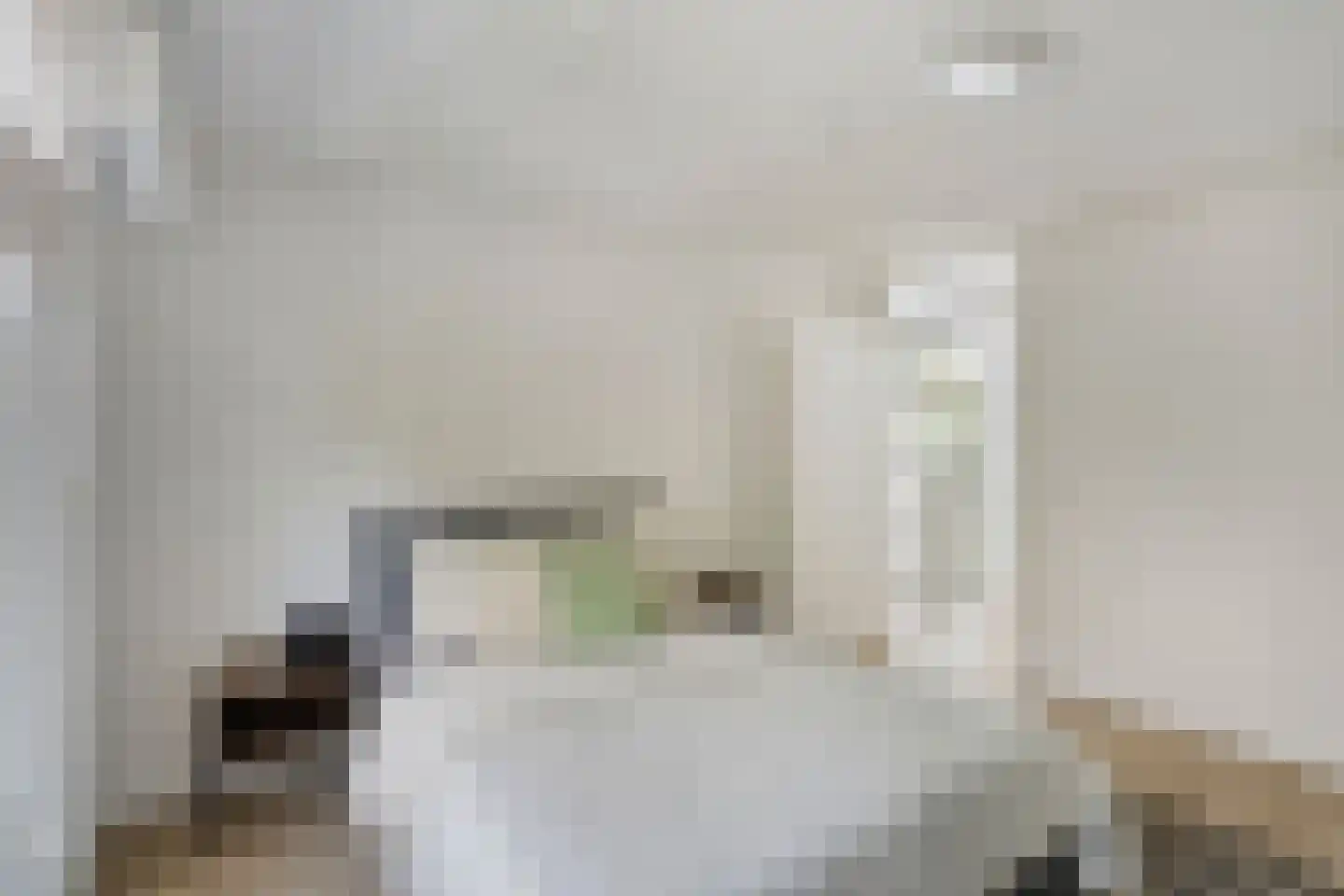 Prof. Rommelaan 22 Helmond thumbnail 35