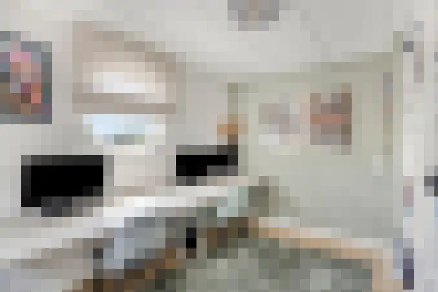 Prof. Rommelaan 22 Helmond thumbnail 36