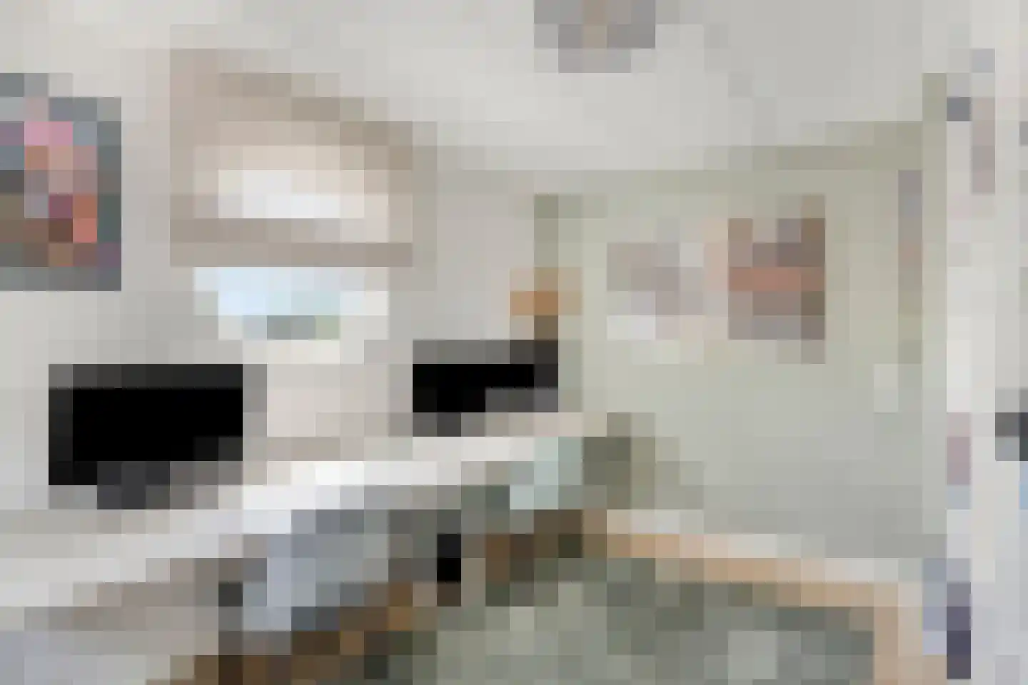Prof. Rommelaan 22 Helmond thumbnail 36