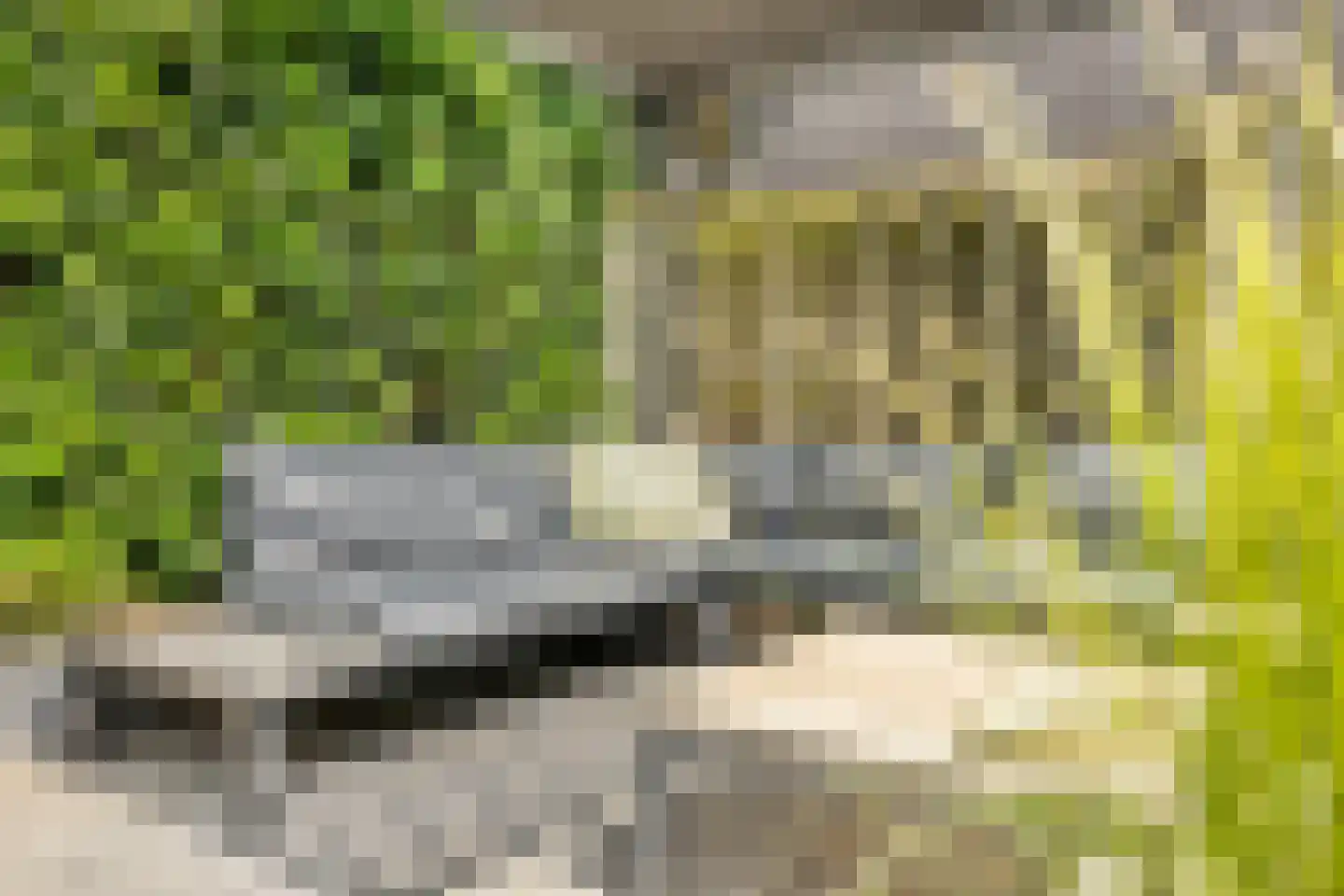 Prof. Rommelaan 22 Helmond thumbnail 39