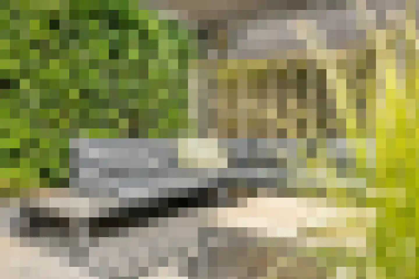 Prof. Rommelaan 22 Helmond thumbnail 39