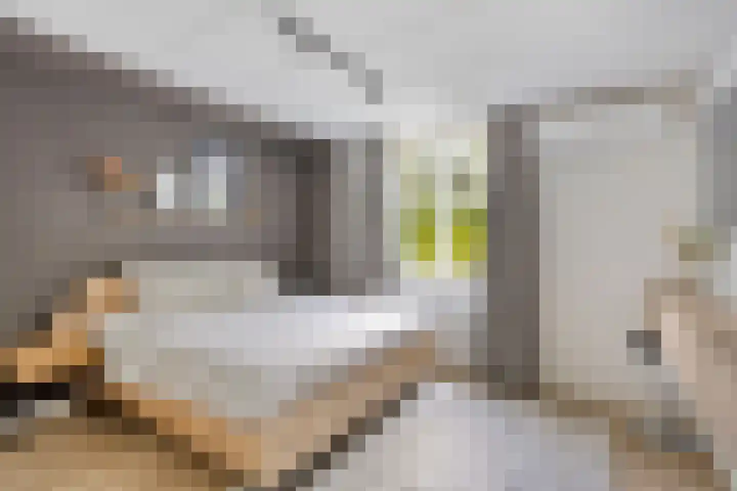 Prof. Rommelaan 22 Helmond thumbnail 4