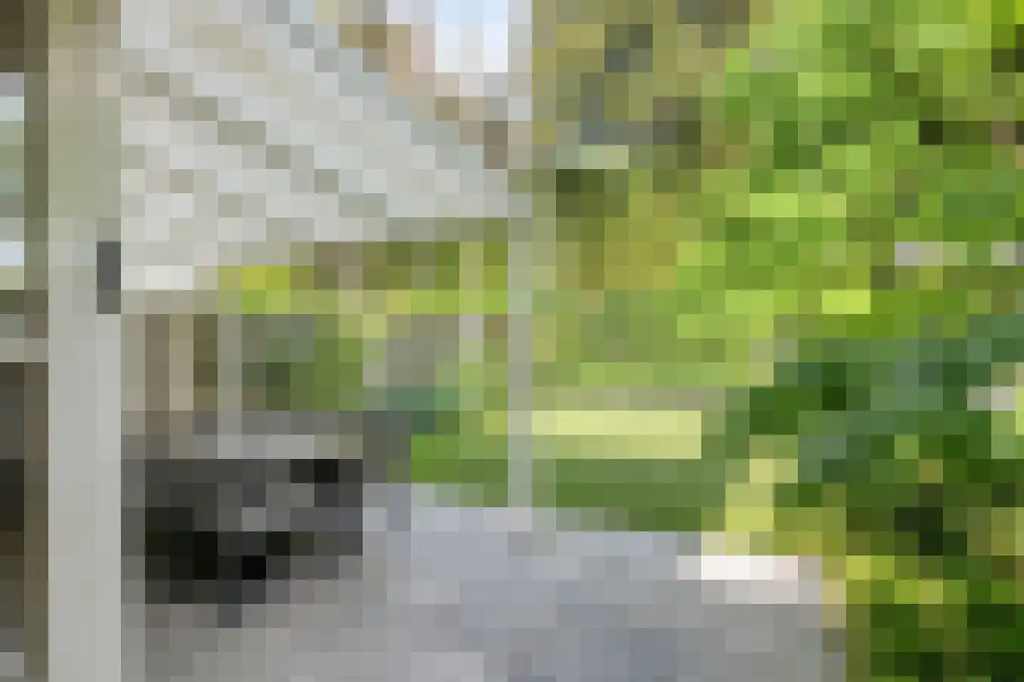 Prof. Rommelaan 22 Helmond thumbnail 40