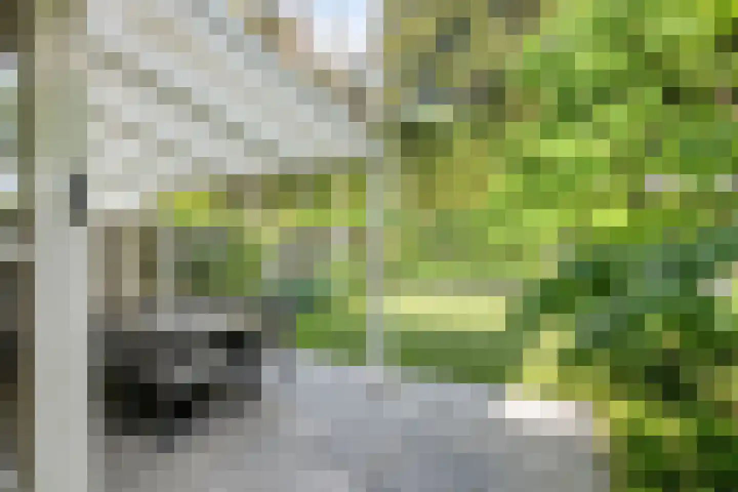 Prof. Rommelaan 22 Helmond thumbnail 40