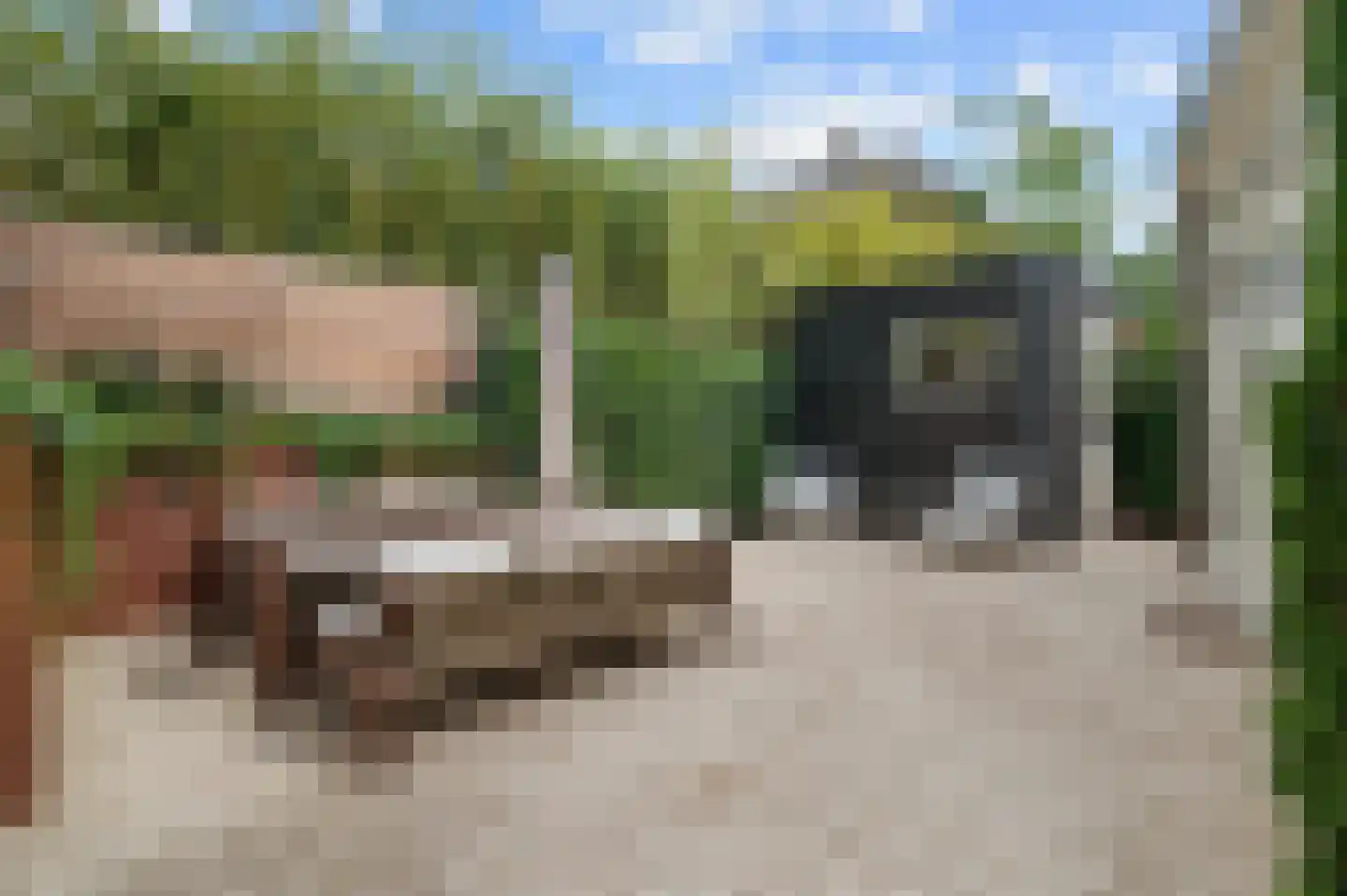 Prof. Röntgenstraat 17 Apeldoorn thumbnail 34