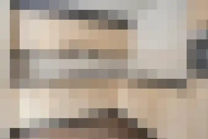 Prof. Schermerhornlaan 16 Helmond thumbnail 14