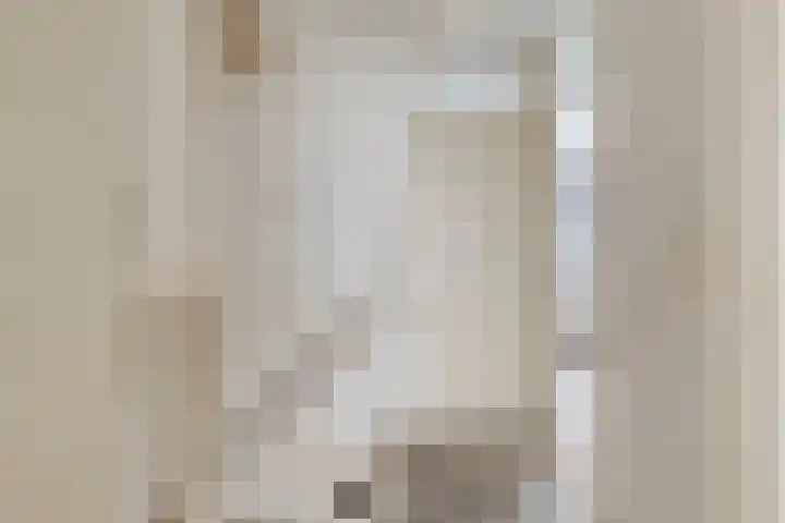 Prof. Schermerhornlaan 16 Helmond thumbnail 18
