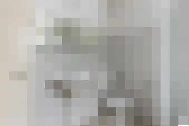 Prof. Schermerhornlaan 16 Helmond thumbnail 20