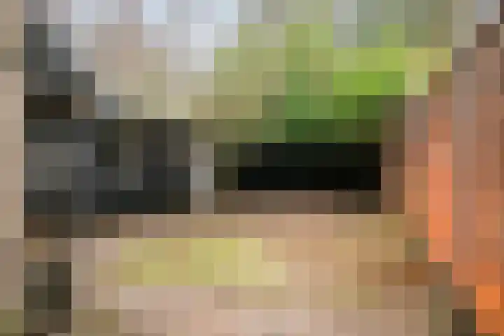 Prof. Schermerhornlaan 16 Helmond thumbnail 25