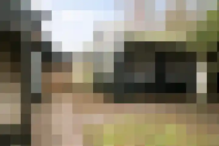 Prof. Schermerhornlaan 16 Helmond thumbnail 26