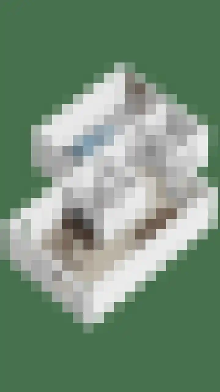 Prof. Schermerhornlaan 16 Helmond thumbnail 39